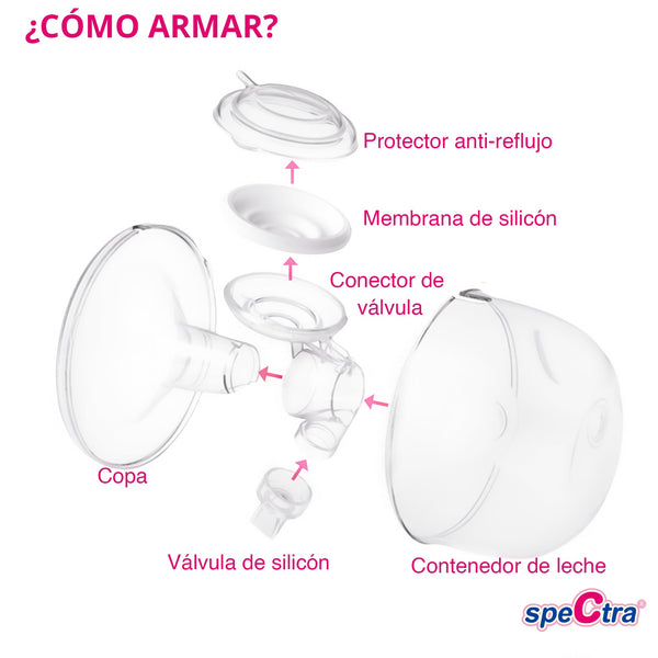 Caracups- colectores de leche manos libres - 9lunasshop.com
